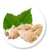 Gember extract